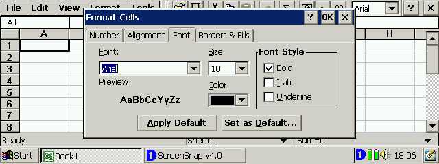 Format Cells - Font
